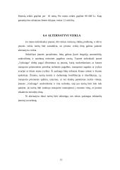 Verslo planas: krovinių pervežimas IĮ "Vydrauga" 13 puslapis