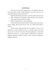 Verslo planas: krovinių pervežimas IĮ "Vydrauga" 3 puslapis