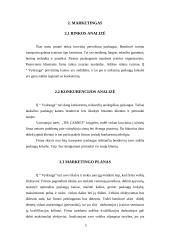 Verslo planas: krovinių pervežimas IĮ "Vydrauga" 5 puslapis