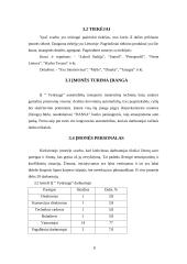 Verslo planas: krovinių pervežimas IĮ "Vydrauga" 8 puslapis