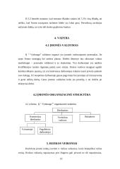 Verslo planas: krovinių pervežimas IĮ "Vydrauga" 10 puslapis