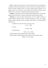 Verslo planas: laboratorija UAB "Ferchema" 11 puslapis