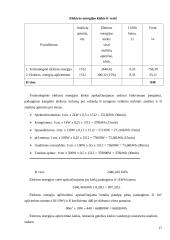 Verslo planas: laboratorija UAB "Ferchema" 17 puslapis