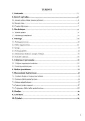 Verslo planas: laboratorija UAB "Ferchema" 4 puslapis