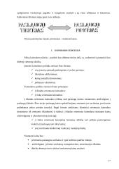 Verslo planas: miškininkystė ir medienos ruoša UAB "Žeimenos šilas" 17 puslapis