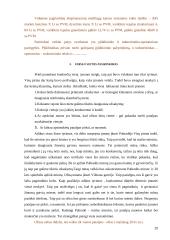 Verslo planas: miškininkystė ir medienos ruoša UAB "Žeimenos šilas" 20 puslapis