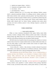 Verslo planas: miškininkystė ir medienos ruoša UAB "Žeimenos šilas" 4 puslapis