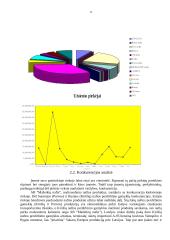 Verslo planas: naftos žaliavos perdirbimas ir prekyba AB "Mažeikių nafta" 11 puslapis
