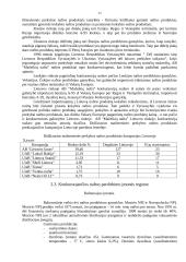 Verslo planas: naftos žaliavos perdirbimas ir prekyba AB "Mažeikių nafta" 12 puslapis