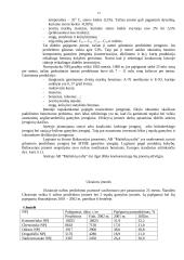 Verslo planas: naftos žaliavos perdirbimas ir prekyba AB "Mažeikių nafta" 13 puslapis