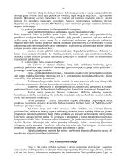 Verslo planas: naftos žaliavos perdirbimas ir prekyba AB "Mažeikių nafta" 16 puslapis