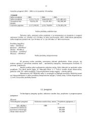 Verslo planas: naftos žaliavos perdirbimas ir prekyba AB "Mažeikių nafta" 20 puslapis