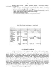 Verslo planas: naftos žaliavos perdirbimas ir prekyba AB "Mažeikių nafta" 7 puslapis