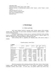 Verslo planas: naftos žaliavos perdirbimas ir prekyba AB "Mažeikių nafta" 8 puslapis
