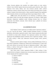 Verslo planas: namų tekstilės bei rūbų gamyba IĮ "Rutex" 12 puslapis