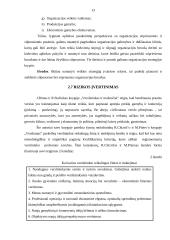 Verslo planas: namų tekstilės bei rūbų gamyba IĮ "Rutex" 13 puslapis