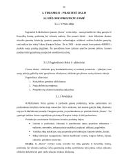 Verslo planas: namų tekstilės bei rūbų gamyba IĮ "Rutex" 16 puslapis