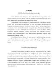 Verslo planas: namų tekstilės bei rūbų gamyba IĮ "Rutex" 19 puslapis