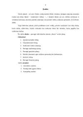 Verslo planas: namų tekstilės bei rūbų gamyba IĮ "Rutex" 4 puslapis