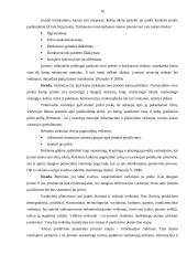 Verslo planas: namų tekstilės bei rūbų gamyba IĮ "Rutex" 10 puslapis