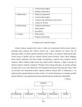 Verslo planas: poligrafijos įmonė "Olimpija" 15 puslapis