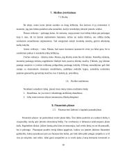 Verslo planas: poligrafijos įmonė "Olimpija" 18 puslapis