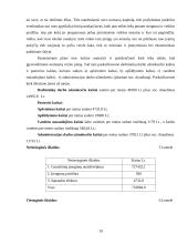 Verslo planas: poligrafijos įmonė "Olimpija" 19 puslapis