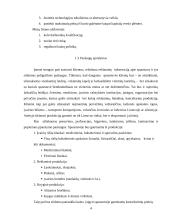 Verslo planas: poligrafijos įmonė "Olimpija" 4 puslapis