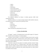 Verslo planas: poligrafijos įmonė "Olimpija" 5 puslapis