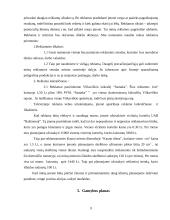 Verslo planas: poligrafijos įmonė "Olimpija" 9 puslapis