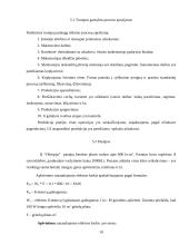 Verslo planas: poligrafijos įmonė "Olimpija" 10 puslapis