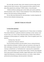 Verslo planas: prekyba kompiuteriais UAB "Gintaro kompiuteriai" 2 puslapis