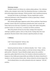 Verslo planas: prekyba kompiuteriais UAB "Gintaro kompiuteriai" 7 puslapis