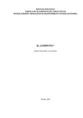 Verslo planas: prekyba kompiuterine įranga J. Lizdenytės individuali įmonė "SAMSUNG"