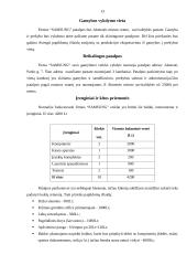 Verslo planas: prekyba kompiuterine įranga J. Lizdenytės individuali įmonė "SAMSUNG" 13 puslapis