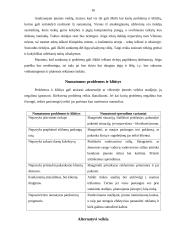 Verslo planas: prekyba kompiuterine įranga J. Lizdenytės individuali įmonė "SAMSUNG" 16 puslapis