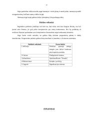 Verslo planas: prekyba kompiuterine įranga J. Lizdenytės individuali įmonė "SAMSUNG" 17 puslapis