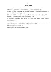 Verslo planas: prekyba kompiuterine įranga J. Lizdenytės individuali įmonė "SAMSUNG" 20 puslapis