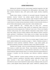 Verslo planas: prekyba kompiuterine įranga J. Lizdenytės individuali įmonė "SAMSUNG" 5 puslapis