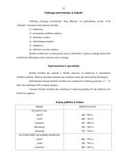 Verslo planas: prekyba naudota buitine technika UAB "Šaltukas" 12 puslapis