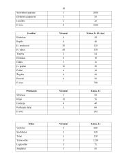 Verslo planas: prekyba naudota buitine technika UAB "Šaltukas" 17 puslapis