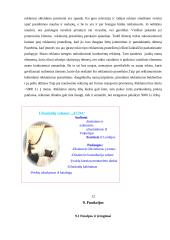 Verslo planas: prekyba vokiškomis užuolaidomis UAB "Auda" 12 puslapis