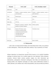 Verslo planas: prekyba vokiškomis užuolaidomis UAB "Auda" 9 puslapis