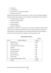 Verslo planas: prekybos avalyne UAB "Auksinis batelis" 16 puslapis