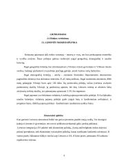 Verslo planas: prekybos avalyne UAB "Auksinis batelis" 4 puslapis