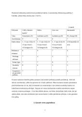 Verslo planas: prekybos avalyne UAB "Auksinis batelis" 7 puslapis