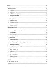 Verslo planas: senelių namai UAB "Gintariniai namai" 2 puslapis