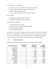 Verslo planas: senelių namai UAB "Gintariniai namai" 13 puslapis