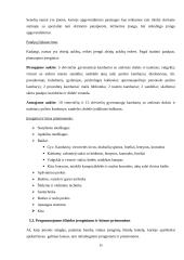 Verslo planas: senelių namai UAB "Gintariniai namai" 15 puslapis