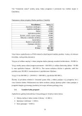 Verslo planas: senelių namai UAB "Gintariniai namai" 16 puslapis